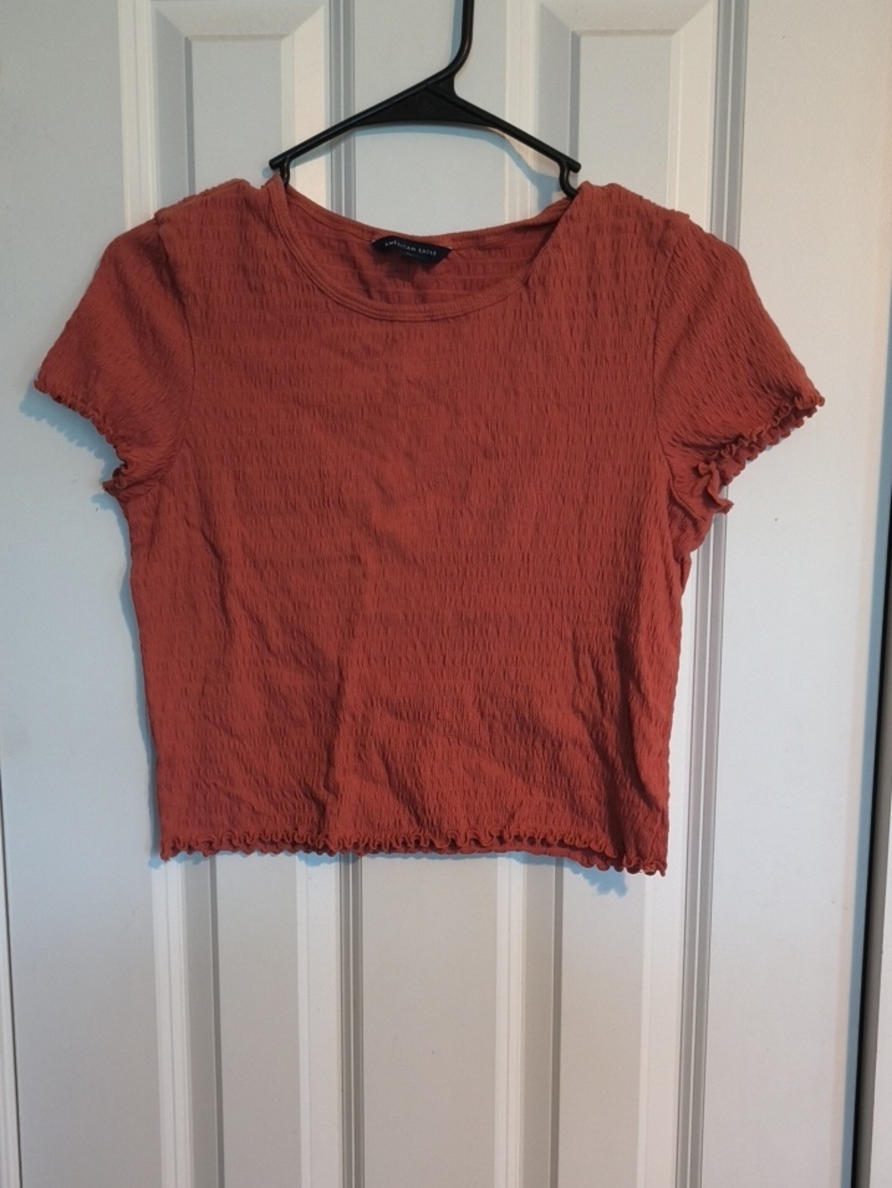 American Eagle Outfitters Rust Orange Crop Top